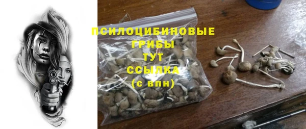 дживик Абинск