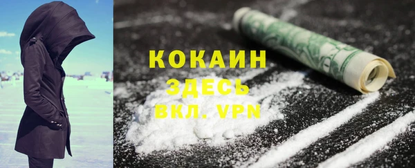дживик Абинск