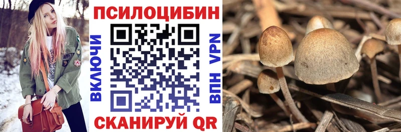 ссылка на мегу ссылка  Дубна  Галлюциногенные грибы ЛСД 